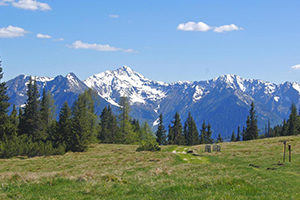 krauterwanderung